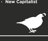 New Capitalist
